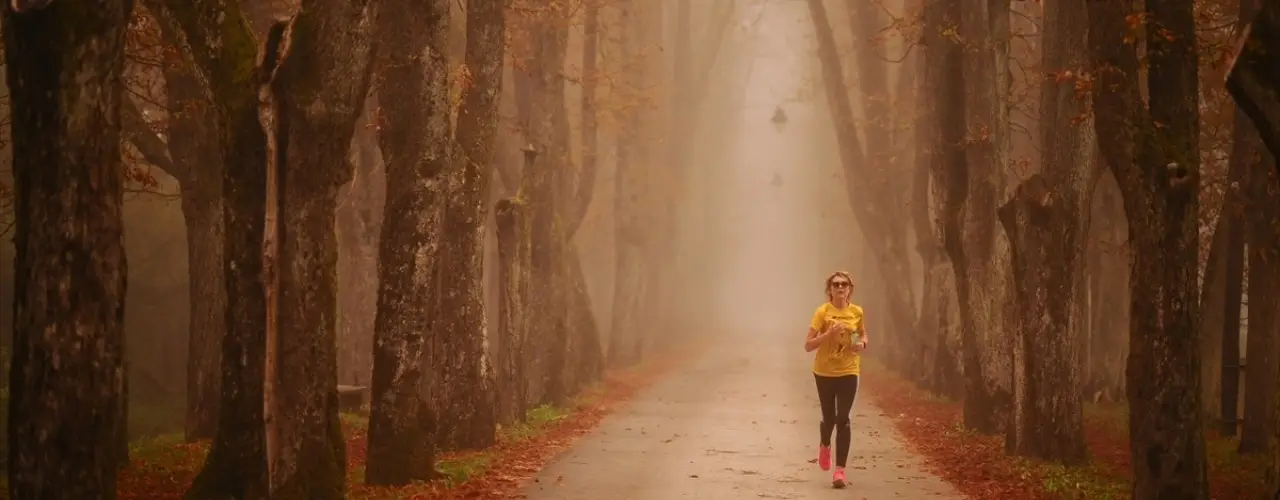 Vrelo Bosne & Ilidža: Doğa Yürüyüşleri ve At Arabası Turları