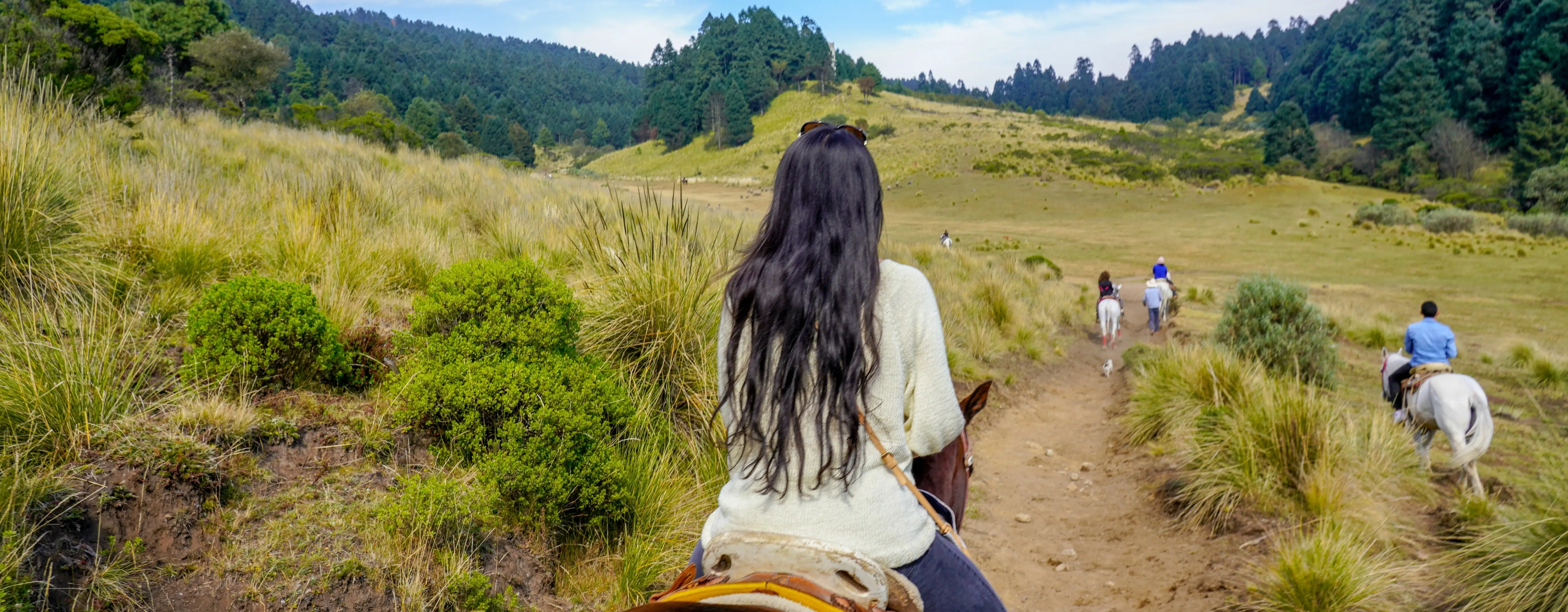 Cocora Valley Gezi Rehberi: Dev Balmumu Palmiyeleri Arasında Yürüyüş Rotaları