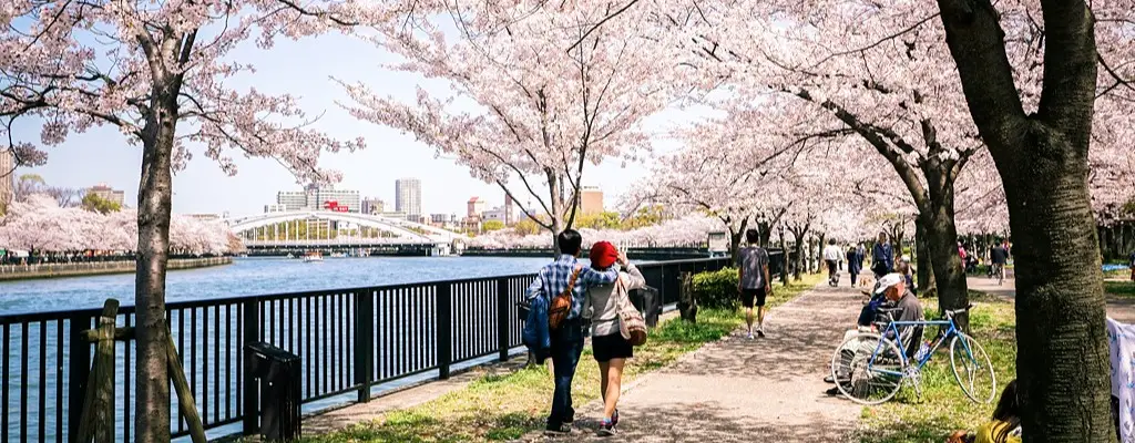 Osaka’da Sakura Görülecek En Güzel Parklar