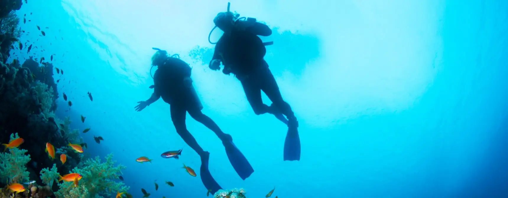 Dalış Tutkunları İçin Dünyanın En İyi 5 Noktası