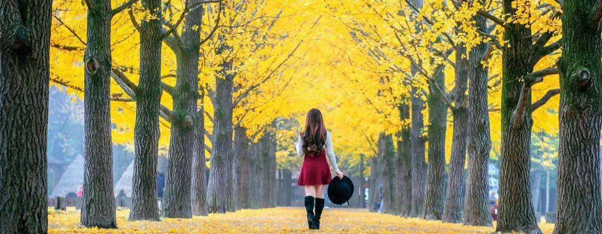 Seul İklimi ve Hava Durumu | Seul’e Ne Zaman Gidilir?