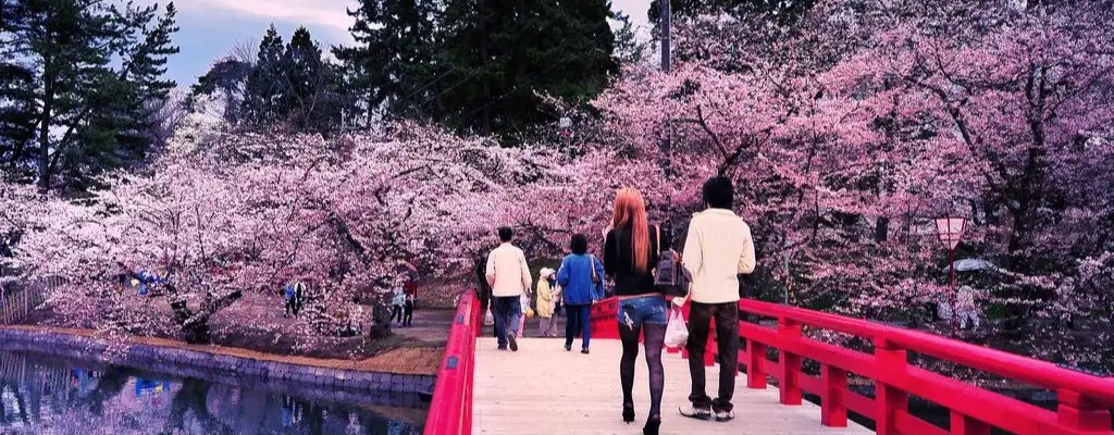 Japonya’da Yazın Fotoğraf Çekilecek En Güzel Noktalar