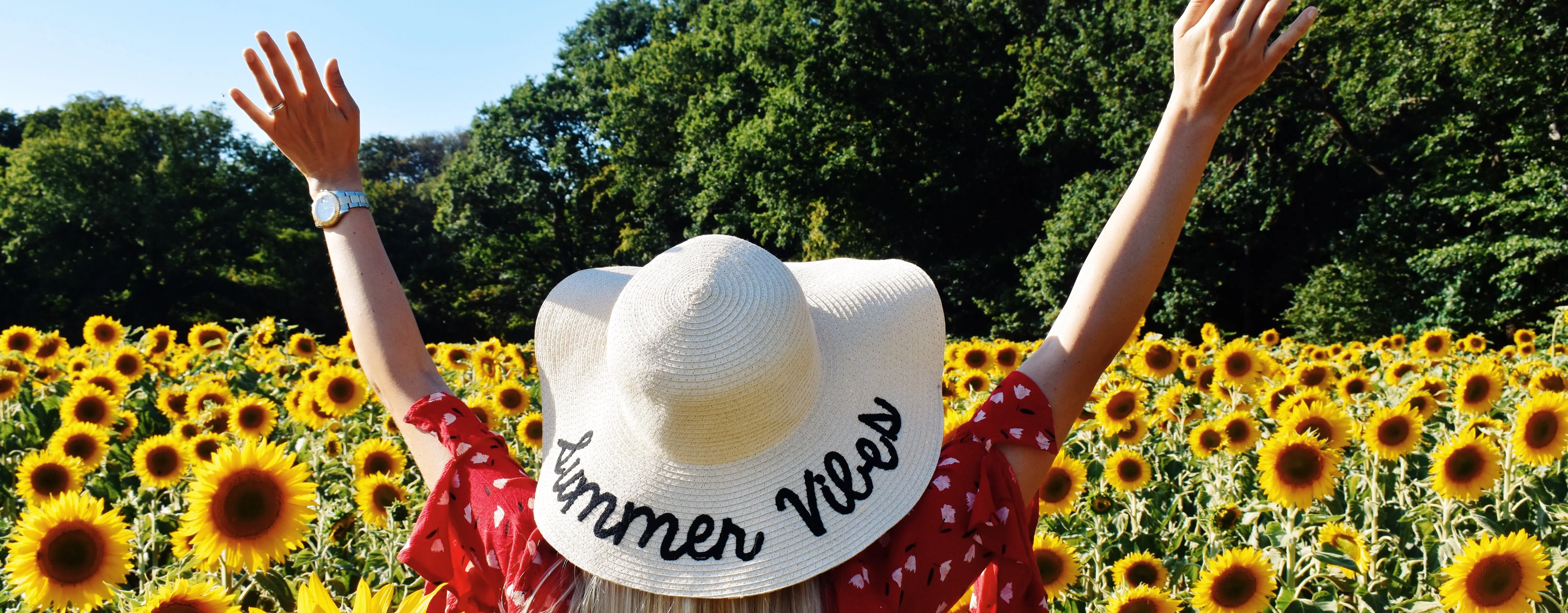 İngiltere’de Yaz Aylarında Ucuz Uçak ve Otel Bulma Tüyoları