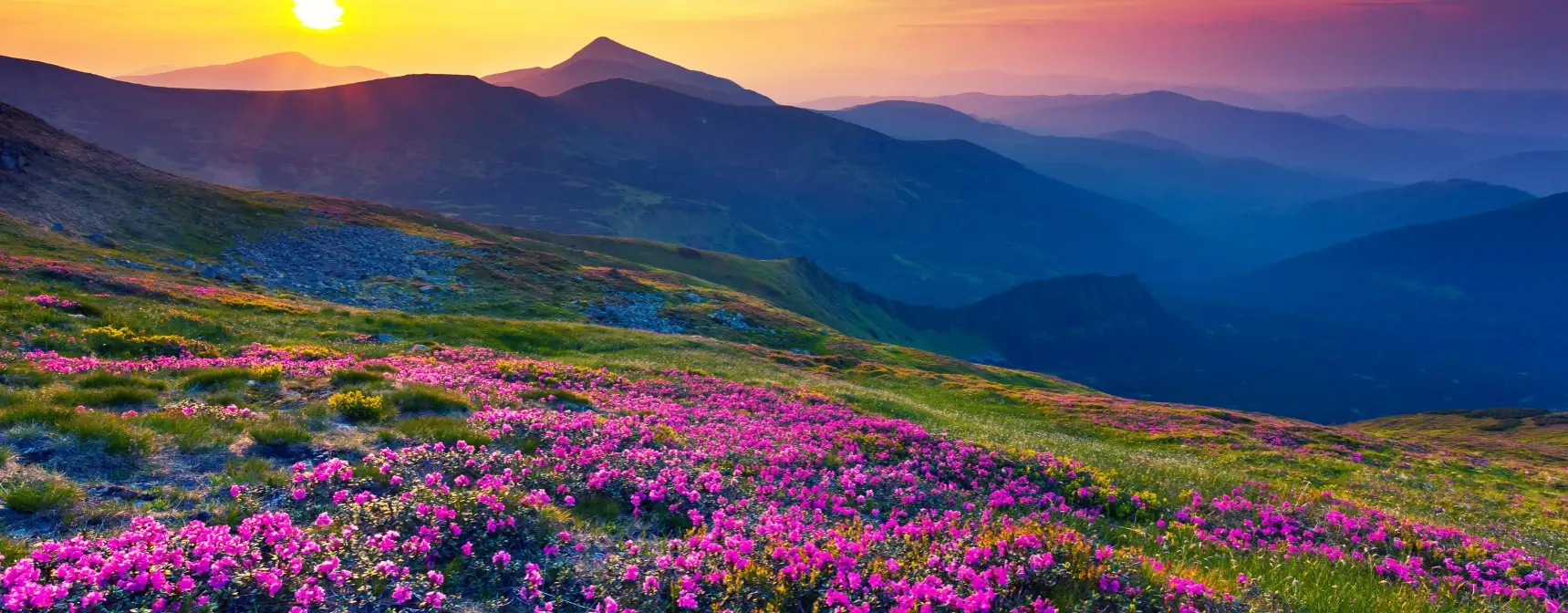 Avrupa Rüyası İle Seyahat Etmek Avantajlı Mı?