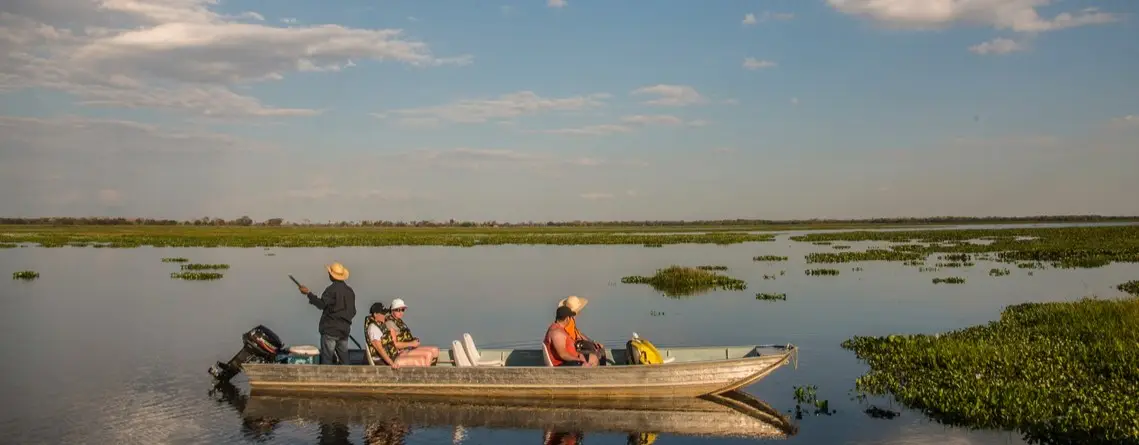 Pantanal Bölgesi: Dünyanın En Büyük Sulak Alanında Doğa ve Vahşi Yaşam Safari