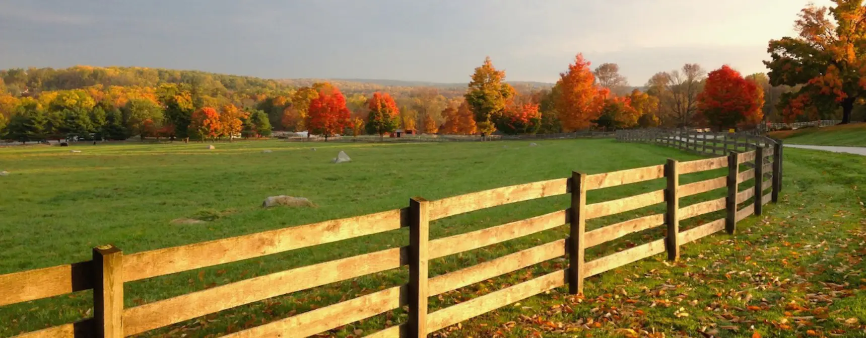 Chester’ da Ne Yapılır? Chester’da Yapılacak 5 Etkinlik