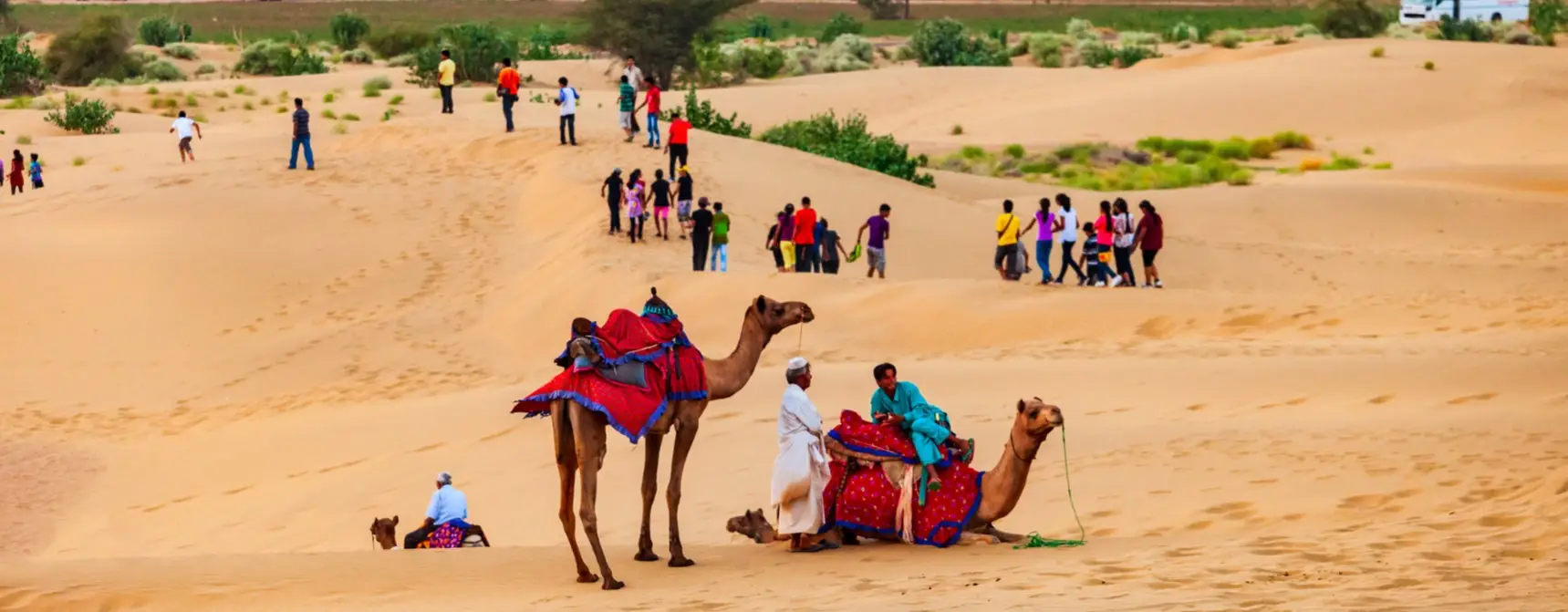 Dubai Çöl Safari Deneyimi: Kum Tepeleri, Deve Turu ve Akşam Şovları