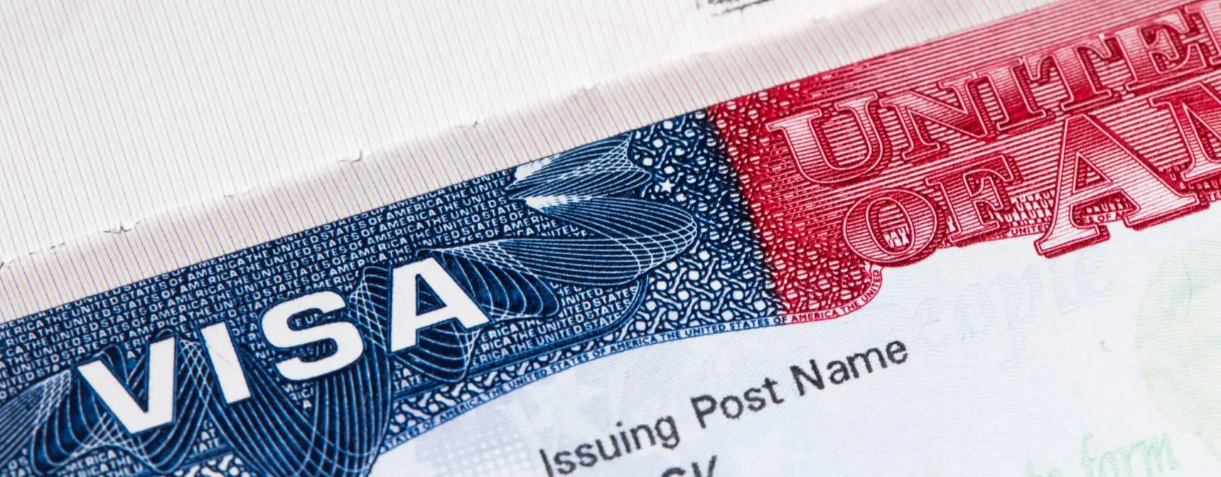 Online Vize Başvurusu Yapılabilir Mi?