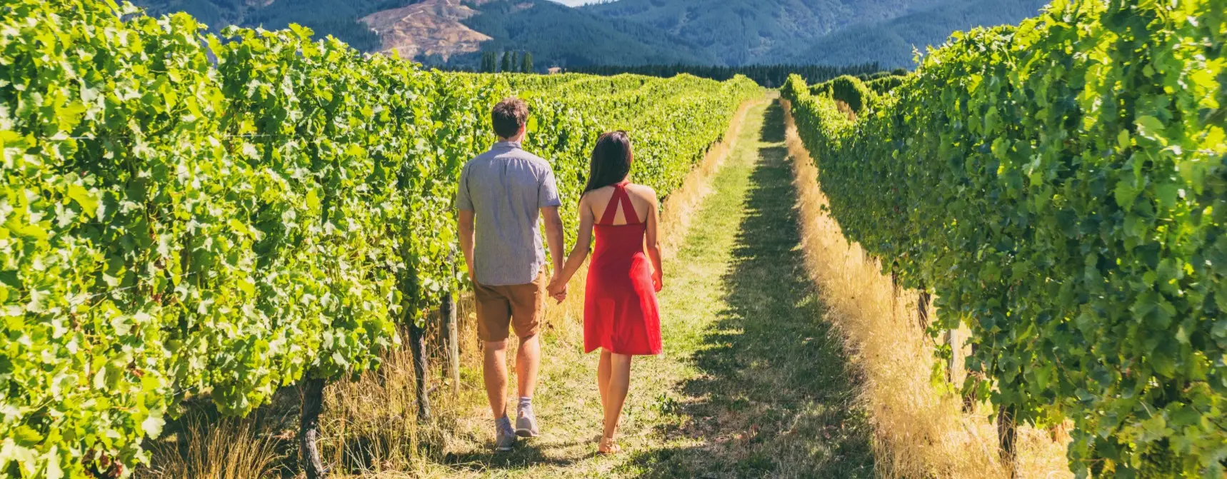 İtalyan Şarap Rotası: Toskana, Umbria ve Piedmont Bağları