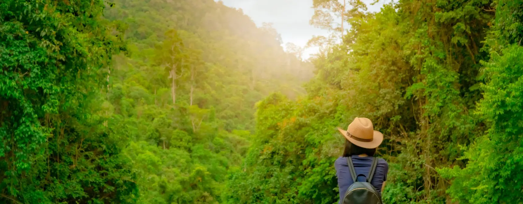 Japonya Turu İçin “ Off-Season/ Ara Dönem “ Fırsatları