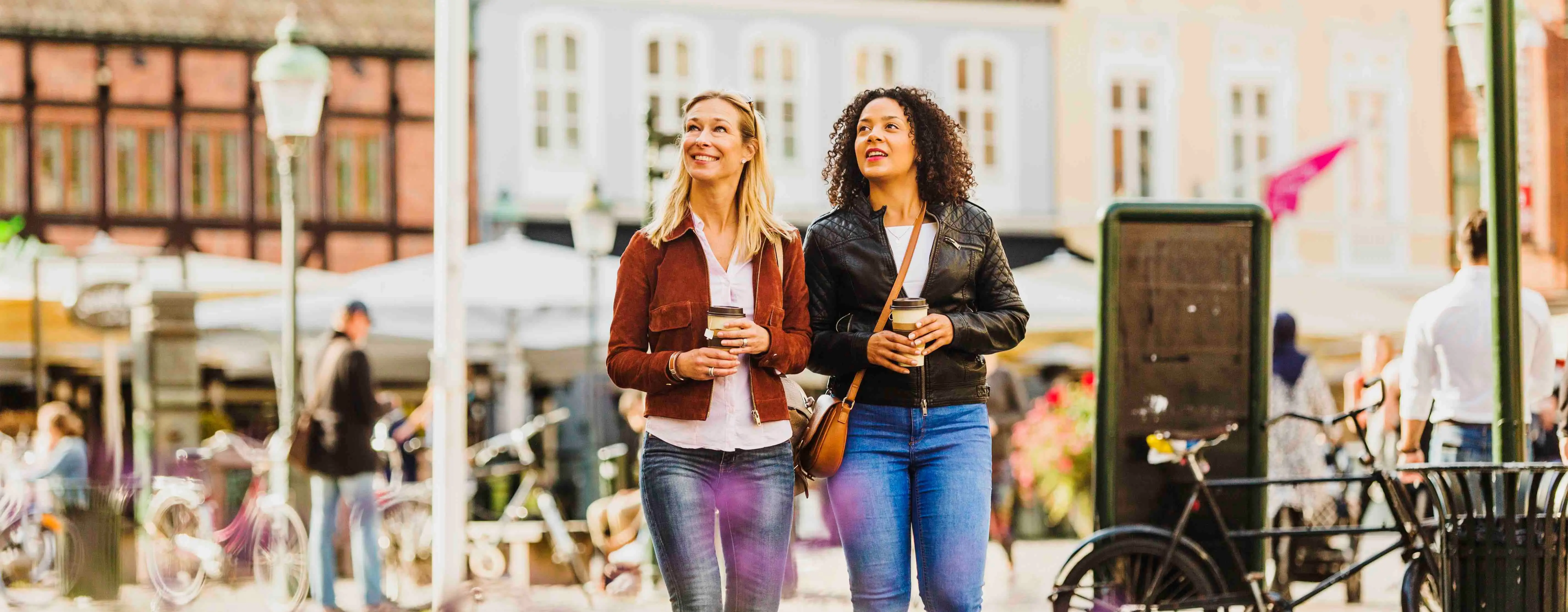 Kopenhag–Malmö Öresund Köprüsü Rehberi: İki Ülke Tek Günde