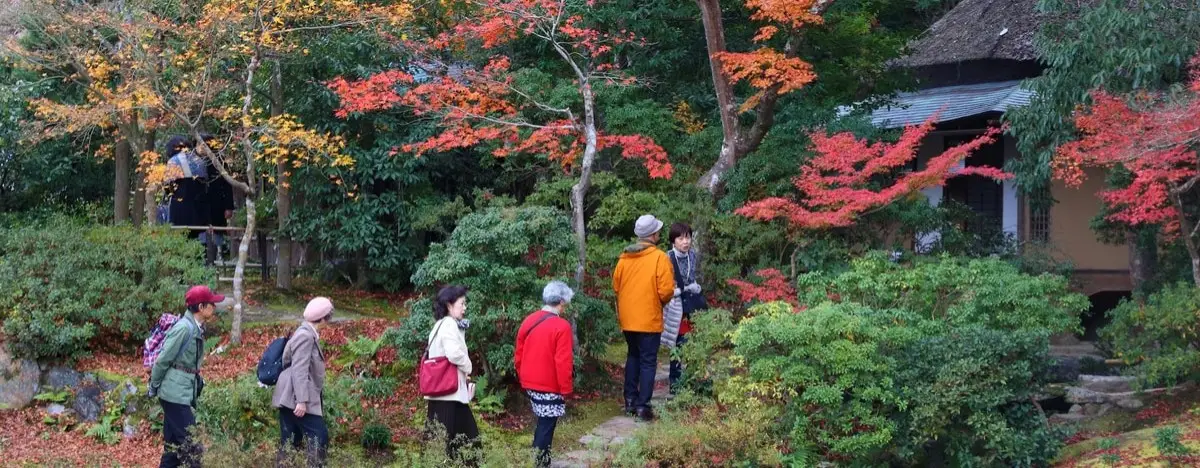 Japonya’da Yazın En Ucuz Dönemleri: Seyahat Planı Nasıl Yapılır?