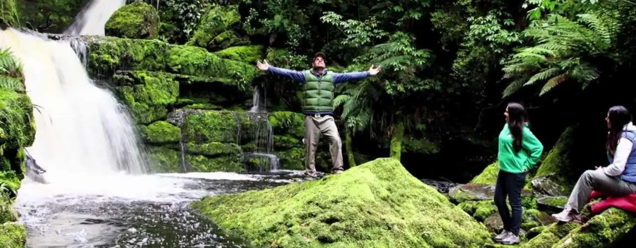 Koyo İzlenecek En Güzel 20 Yer: Kyoto’dan Nikko’ya