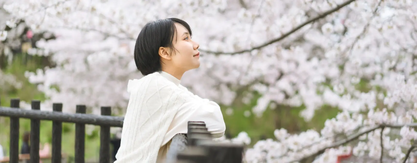 Japonya Turu 2026 Yılında Neden Şimdi Gitmeli?