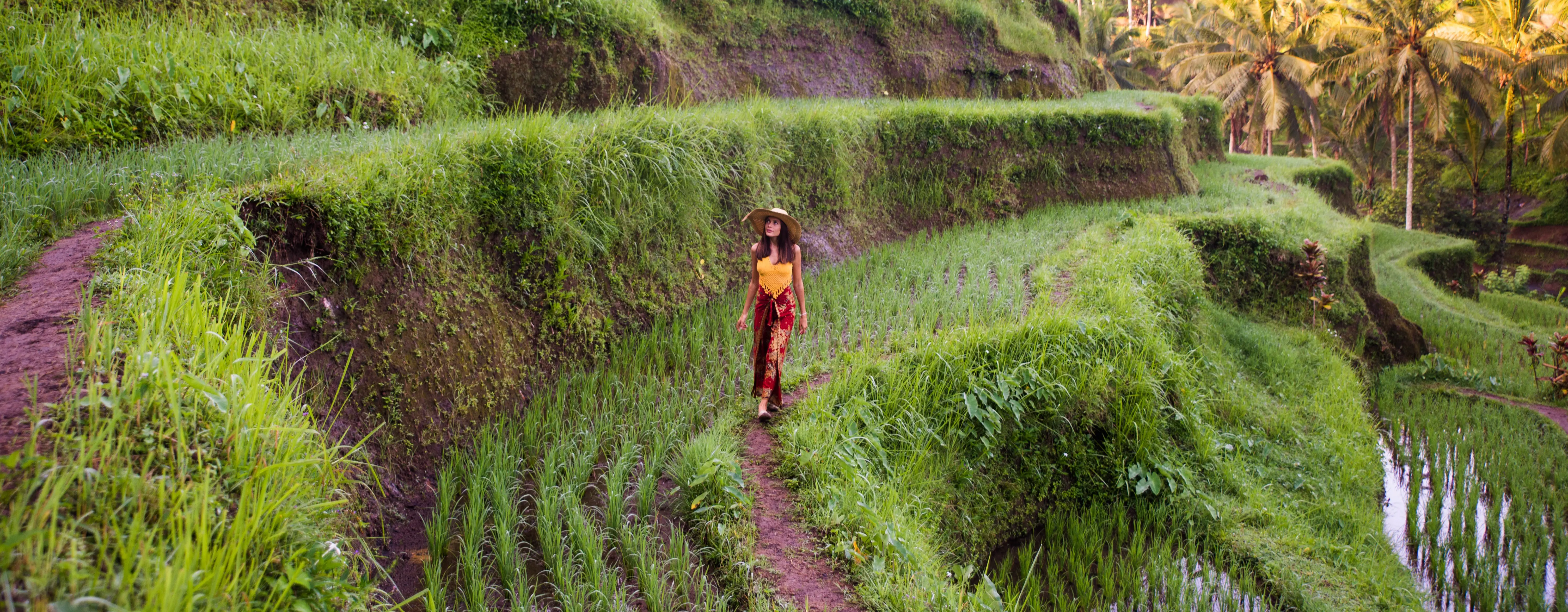 Tegallalang & Munduk: Doğal Şelaleler Orman Yürüyüşleri ve Gizli Tapınaklar