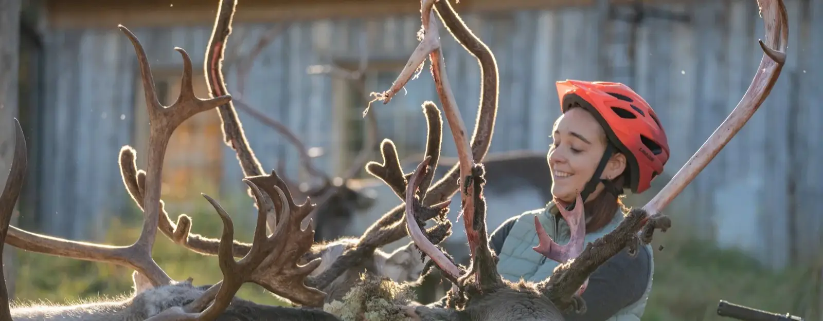 Rovaniemi & Laponya Gezi Rehberi Kuzey Işıkları, Kar Safari ve Noel Baba Köyü