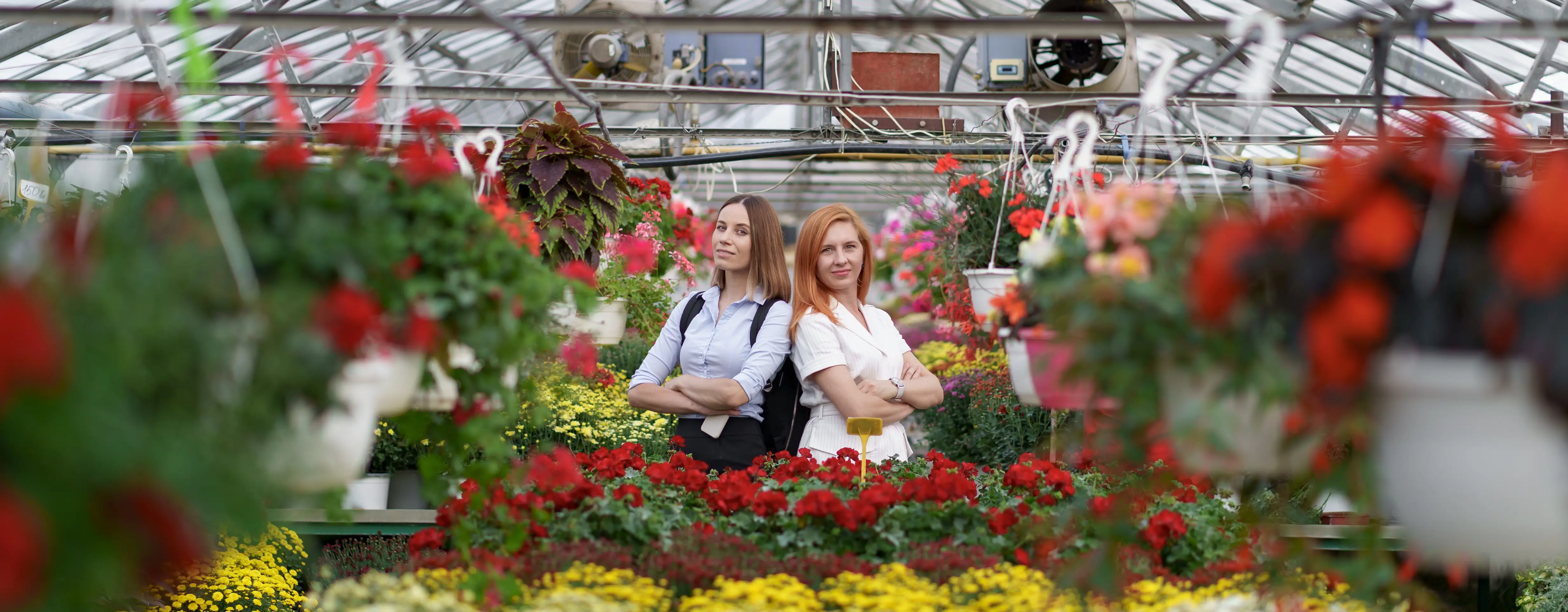İngiltere’de Bahar Turları: Bahçeler, Şatolar ve Doğa Gezileri