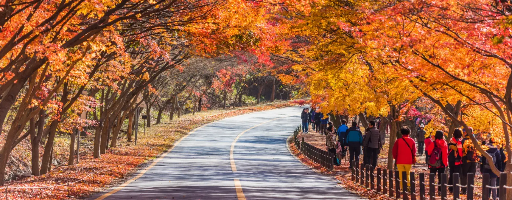 Güney Kore’de Fotoğraf Çekilecek En Güzel Noktalar