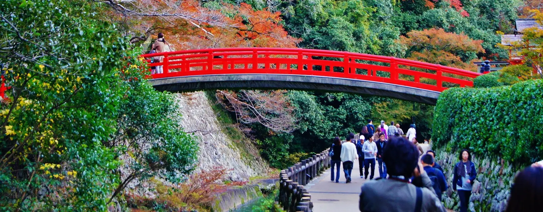 Japonya’da Koyo Zamanı En Güzel Yürüyüş Parkurları