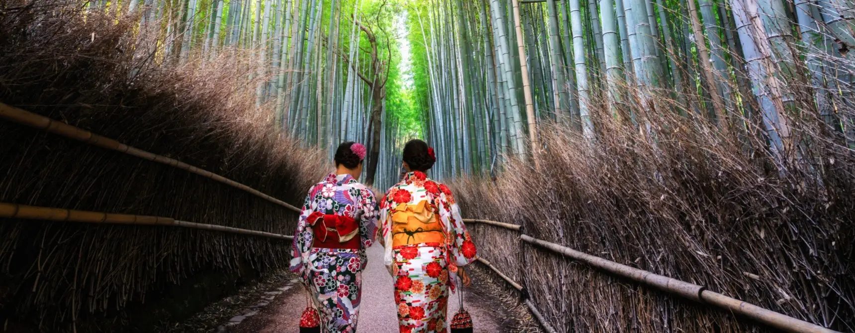 Japonya’da Ulaşım: Shinkansen (Hızlı Tren) ve Metro Kullanım Tüyoları
