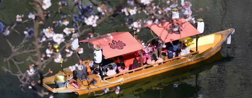 Sakura Zamanında Yapılabilecek En Romantik Aktiviteler