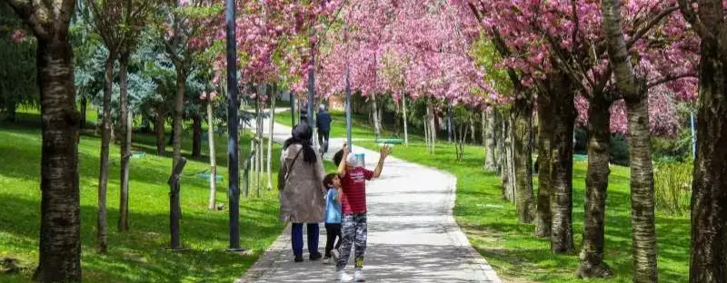Sakura Mevsiminde Hava Durumu ve Giyim Önerileri
