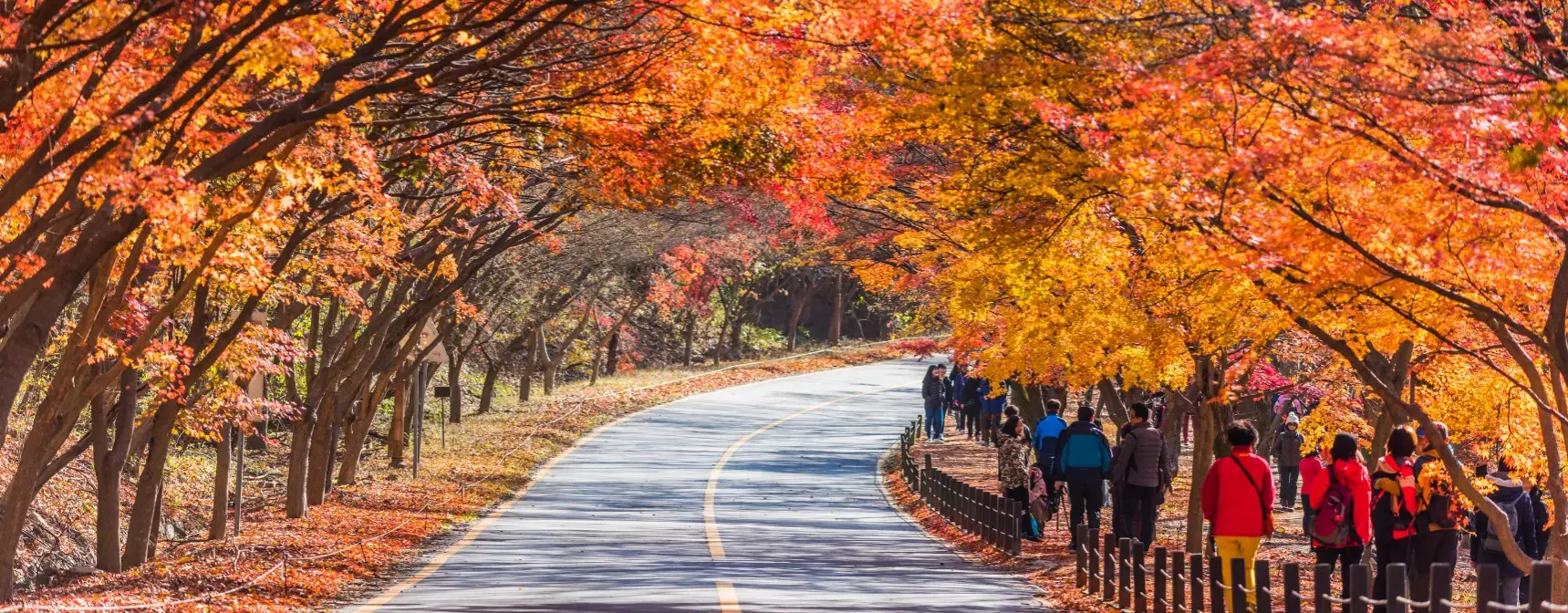 Bütçe Dostu Yurtdışı Turları: Ucuz Ama Kaliteli 7 Seçenek