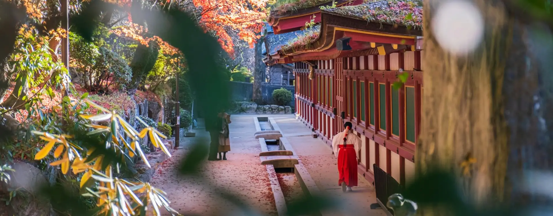 Japonya’da Koyo Döneminde Otel ve Uçak Rezervasyonu Tüyoları