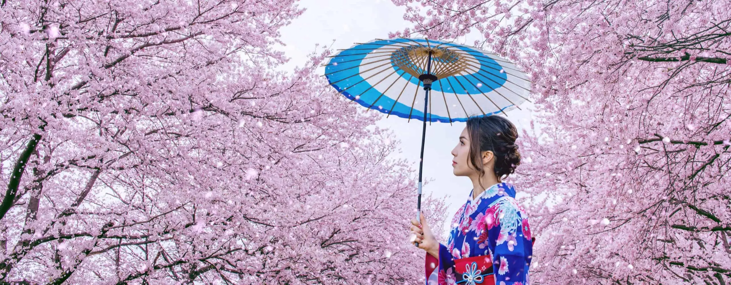 Kyoto Kaç Günde Gezilir? | İdeal Kyoto Gezi Süresi