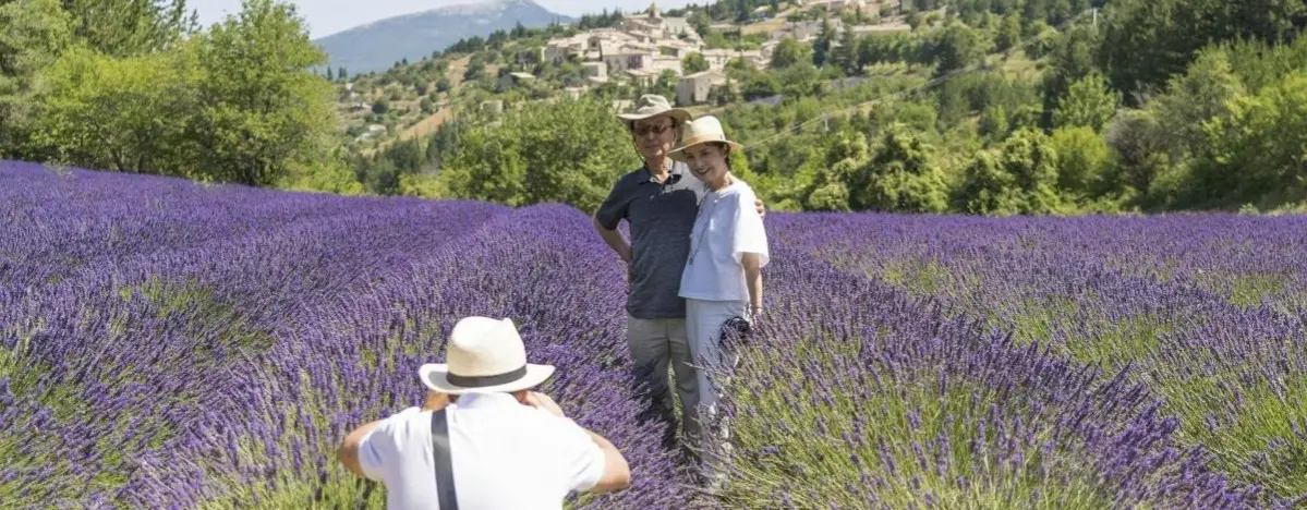 Provence & Marsilya: Lavanta Kokuları, Şaraplar ve Taş Köyler