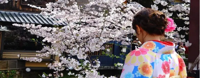 Japonya Turu: Sakura Mevsiminde Ne Zaman Nerede Olmalı?