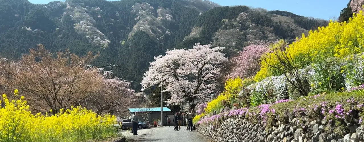 Koyo Zamanında Japonya’da En Güzel Kırsal Kasabalar