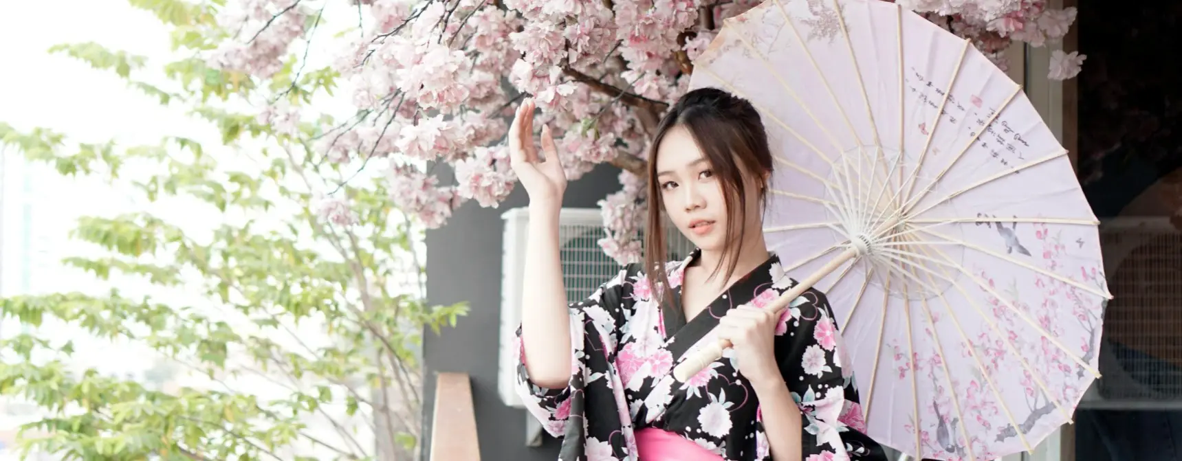 Japonya’da Sakura Zamanı 2026 – Kiraz Çiçekleri Ne Zaman Açıyor?