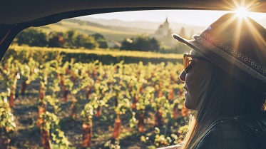 Alsace Noel Pazarları ve Almanya Romantik Yol Turu