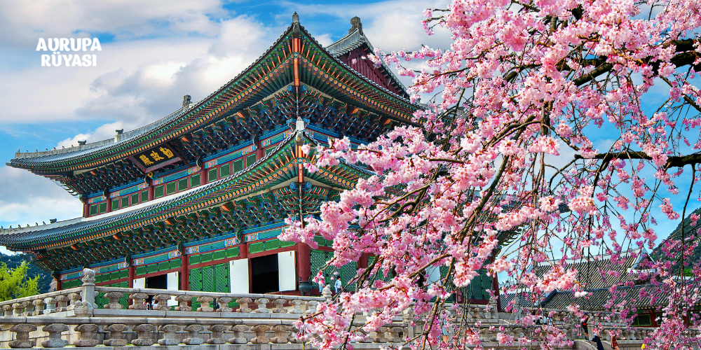 Güney Kore Yemekleri Nelerdir? Güney Kore’de Ne Yenir?