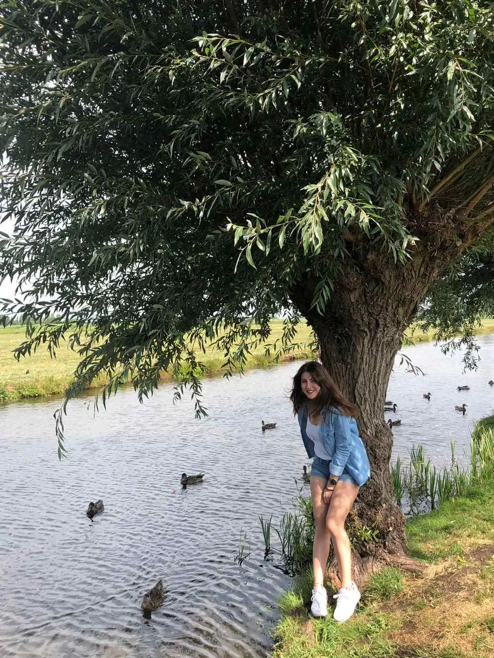 Avrupa Rüyası 2018'den Kareler