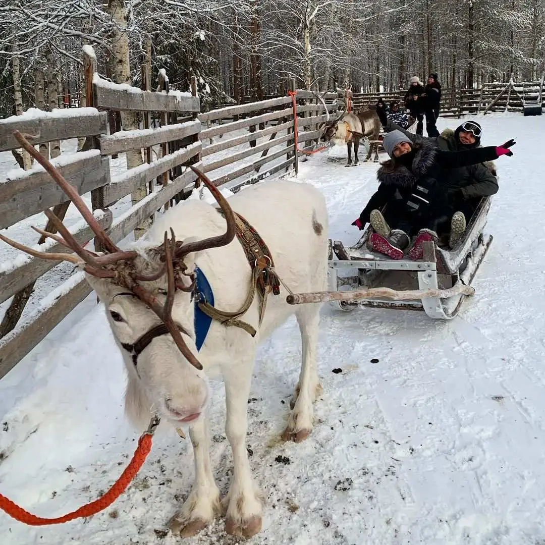 Avrupa Rüyası 2020'den Kareler