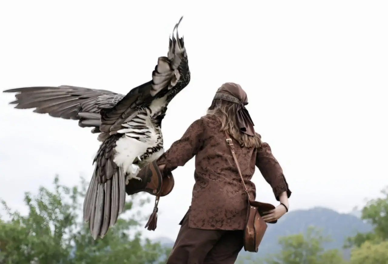 Avrupa Rüyası 2025'den Kareler