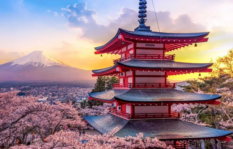 Japonya Güney Kore Turu