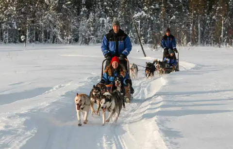 Lapland Kuzey Işıkları Turu